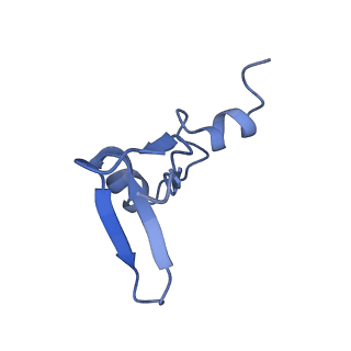 4300_6frk_W_v1-2
Structure of a prehandover mammalian ribosomal SRP and SRP receptor targeting complex