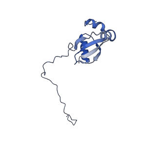4300_6frk_X_v1-2
Structure of a prehandover mammalian ribosomal SRP and SRP receptor targeting complex
