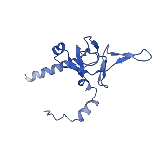 4300_6frk_Y_v1-2
Structure of a prehandover mammalian ribosomal SRP and SRP receptor targeting complex