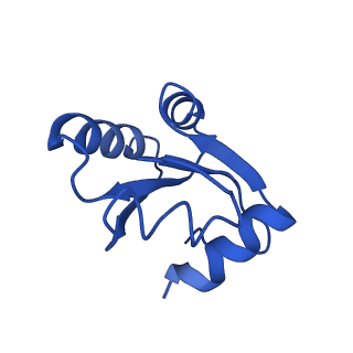 4300_6frk_c_v1-2
Structure of a prehandover mammalian ribosomal SRP and SRP receptor targeting complex