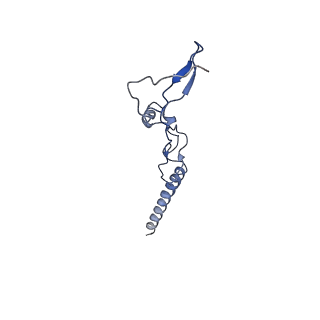 4300_6frk_g_v1-2
Structure of a prehandover mammalian ribosomal SRP and SRP receptor targeting complex