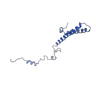 4300_6frk_h_v1-2
Structure of a prehandover mammalian ribosomal SRP and SRP receptor targeting complex
