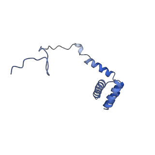 4300_6frk_i_v1-2
Structure of a prehandover mammalian ribosomal SRP and SRP receptor targeting complex