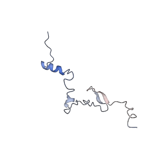 4300_6frk_j_v1-2
Structure of a prehandover mammalian ribosomal SRP and SRP receptor targeting complex