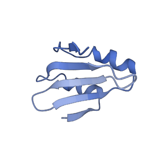4300_6frk_k_v1-2
Structure of a prehandover mammalian ribosomal SRP and SRP receptor targeting complex