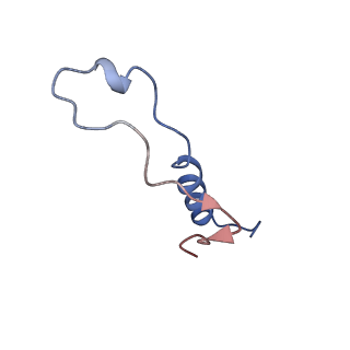 4300_6frk_l_v1-2
Structure of a prehandover mammalian ribosomal SRP and SRP receptor targeting complex