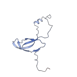 4300_6frk_o_v1-2
Structure of a prehandover mammalian ribosomal SRP and SRP receptor targeting complex