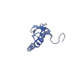 4300_6frk_p_v1-2
Structure of a prehandover mammalian ribosomal SRP and SRP receptor targeting complex