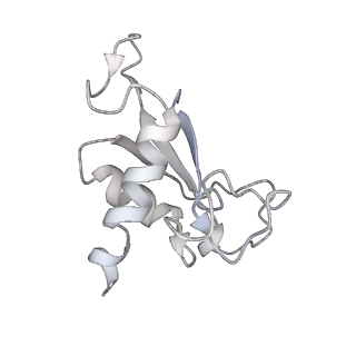 4300_6frk_q_v1-2
Structure of a prehandover mammalian ribosomal SRP and SRP receptor targeting complex