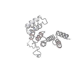 4300_6frk_r_v1-2
Structure of a prehandover mammalian ribosomal SRP and SRP receptor targeting complex