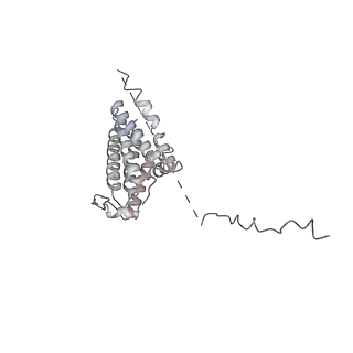 4300_6frk_u_v1-2
Structure of a prehandover mammalian ribosomal SRP and SRP receptor targeting complex