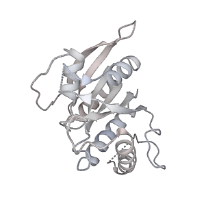 4300_6frk_v_v1-2
Structure of a prehandover mammalian ribosomal SRP and SRP receptor targeting complex