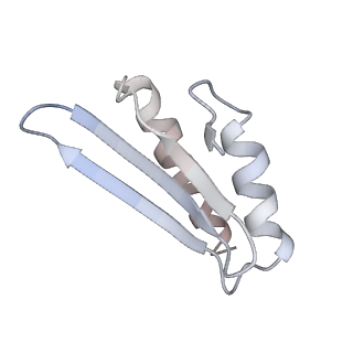 4300_6frk_w_v1-2
Structure of a prehandover mammalian ribosomal SRP and SRP receptor targeting complex