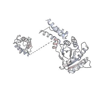 4300_6frk_x_v1-2
Structure of a prehandover mammalian ribosomal SRP and SRP receptor targeting complex