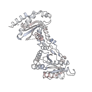 4300_6frk_y_v1-2
Structure of a prehandover mammalian ribosomal SRP and SRP receptor targeting complex
