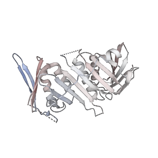 29415_8fs6_F_v1-0
Structure of S. cerevisiae Rad24-RFC loading the 9-1-1 clamp onto a 10-nt gapped DNA in step 4 (partially closed 9-1-1 and stably bound chamber DNA)