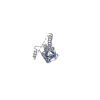 29421_8fsp_B_v1-1
Full-length mouse 5-HT3A receptor in complex with SMP100, open-like