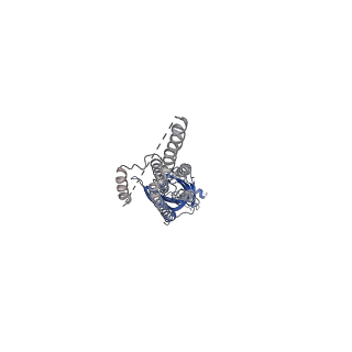 29422_8fsz_B_v1-1
Full-length mouse 5-HT3A receptor in complex with ALB148471, open-like