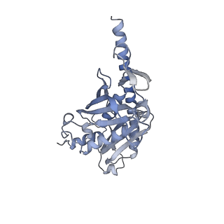 4301_6fsz_AA_v1-4
Structure of the nuclear RNA exosome