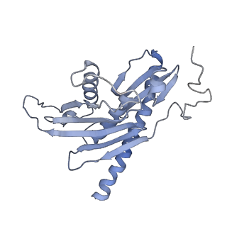 4301_6fsz_BB_v1-4
Structure of the nuclear RNA exosome