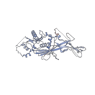 4301_6fsz_CC_v1-4
Structure of the nuclear RNA exosome