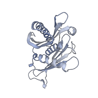 4301_6fsz_DD_v1-4
Structure of the nuclear RNA exosome