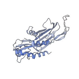 4301_6fsz_EE_v1-4
Structure of the nuclear RNA exosome