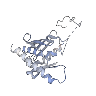 4301_6fsz_FF_v1-4
Structure of the nuclear RNA exosome