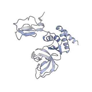 4301_6fsz_GG_v1-4
Structure of the nuclear RNA exosome