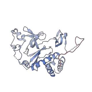 4301_6fsz_HH_v1-4
Structure of the nuclear RNA exosome