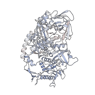 4301_6fsz_JJ_v1-4
Structure of the nuclear RNA exosome
