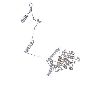 4301_6fsz_KK_v1-4
Structure of the nuclear RNA exosome