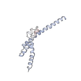 4301_6fsz_LL_v1-4
Structure of the nuclear RNA exosome