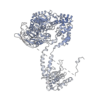 4301_6fsz_MM_v1-4
Structure of the nuclear RNA exosome