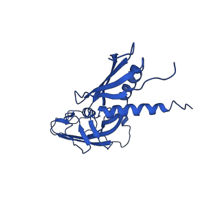 29423_8ftd_G_v1-2
Structure of Escherichia coli CedA in complex with transcription initiation complex