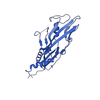 29423_8ftd_H_v1-2
Structure of Escherichia coli CedA in complex with transcription initiation complex