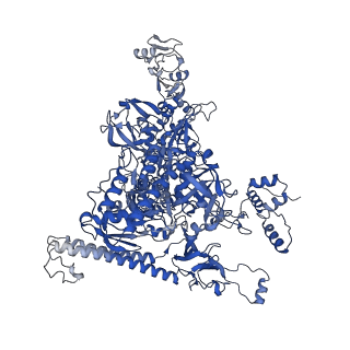 29423_8ftd_I_v1-2
Structure of Escherichia coli CedA in complex with transcription initiation complex