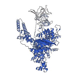 29423_8ftd_J_v1-2
Structure of Escherichia coli CedA in complex with transcription initiation complex
