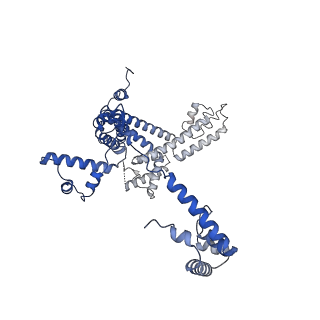 29423_8ftd_L_v1-2
Structure of Escherichia coli CedA in complex with transcription initiation complex