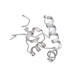 29423_8ftd_R_v1-2
Structure of Escherichia coli CedA in complex with transcription initiation complex
