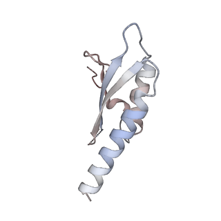 29424_8fte_C_v1-0
CryoEM strucutre of 22-mer RBM2 of the Salmonella MS-ring