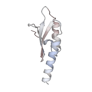29424_8fte_D_v1-0
CryoEM strucutre of 22-mer RBM2 of the Salmonella MS-ring