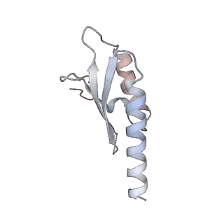 29424_8fte_E_v1-0
CryoEM strucutre of 22-mer RBM2 of the Salmonella MS-ring