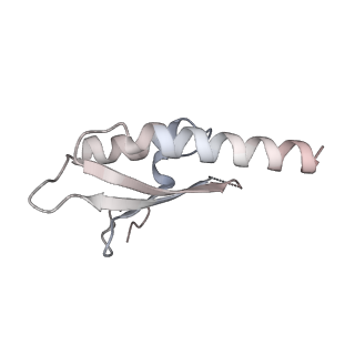 29424_8fte_J_v1-0
CryoEM strucutre of 22-mer RBM2 of the Salmonella MS-ring