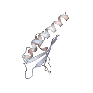 29424_8fte_M_v1-0
CryoEM strucutre of 22-mer RBM2 of the Salmonella MS-ring