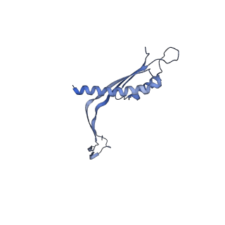 29425_8ftf_BA_v1-0
CryoEM strucutre of 33-mer RBM3 of the Salmonella MS-ring