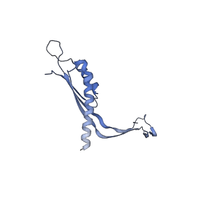 29425_8ftf_B_v1-0
CryoEM strucutre of 33-mer RBM3 of the Salmonella MS-ring