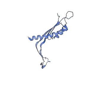 29425_8ftf_CA_v1-0
CryoEM strucutre of 33-mer RBM3 of the Salmonella MS-ring