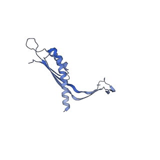 29425_8ftf_C_v1-0
CryoEM strucutre of 33-mer RBM3 of the Salmonella MS-ring