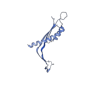 29425_8ftf_DA_v1-0
CryoEM strucutre of 33-mer RBM3 of the Salmonella MS-ring